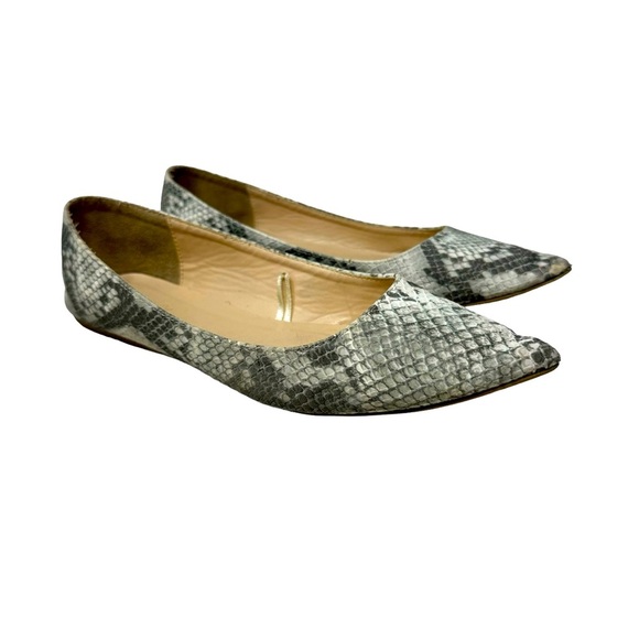 Charlotte Russe | Snake Skin Fabric | Pointed Flats Size 8 - Picture 6 of 6